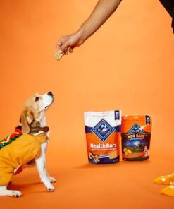 Alternative view of Blue Buffalo Health Bars Crunchy Dog Biscuits, Oven-Baked With Natural Ingredients, Pumpkin & Cinnamon, 16-oz Bag