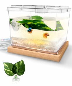 MoonOrange Mini Betta Fish Tank Kit with LED Light Base, Small Fish Bowl for Temporary Space, 0.2 Gallon Stackable Cube Tank with Betta Leaf for Small Fish, Insect, Shrimp, Crab, Spider (Kit-1)