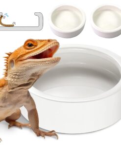 Reptile Food Dish Bowl, Worm Water Dish Small (2.75in) Lizard Gecko Ceramic Pet Bowl, Mealworms Bowls for Leopard Bearded Dragon Chameleon Hermit Crab Dubia Cricket Anti-Escape Superworm Feeder 2 Pack