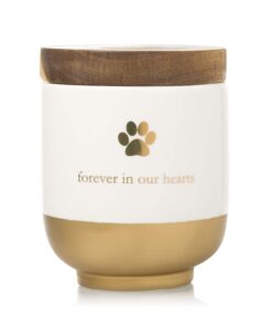 Pearhead Pet Ceramic Forever in Our Hearts Urn, Pet Memorial, Dog Or Cat Keepsake Urn, Rainbow Bridge, Gold