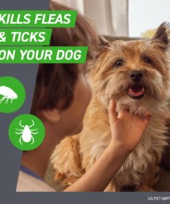 Alternative view of FRONTLINE Plus Flea and Tick Treatment for Medium Dogs Up to 23 to 44 lbs. 3 Treatments