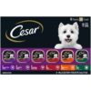 Cesar Wet Dog Food Classic Loaf in Sauce Grilled Chicken, Filet Mignon, Porterhouse Steak, Beef, Chicken & Liver and Turkey Variety Pack 3.5 oz. Easy Peel Trays (36 Count, Pack of 1)