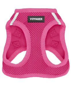 Best Pet Supplies Voyager Step-in Air Harness - All Weather Mesh, Reflective, No Pull Harness for Dogs, Cats - Secure with Hook & Loop Fastener, Buckle, Double D-Rings - Fuchsia, S