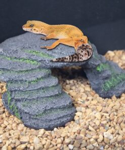 Alternative view of PENN-PLAX Reptology Shale Scape Step Ledge ñ Decorative Resin for Aquariums & Terrariums ñ Great for Reptiles, Amphibians, and Fish ñ Small